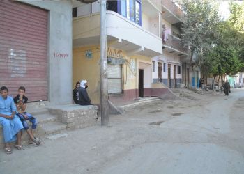 Palestinians from Egypt and the Naturalization issues 